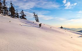 นาเอบะ ปริ้นส์ โฮเต็ล